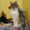 Отзыв от Анастасия Гущина